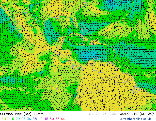 Surface wind ECMWF Su 02.06.2024 06 UTC