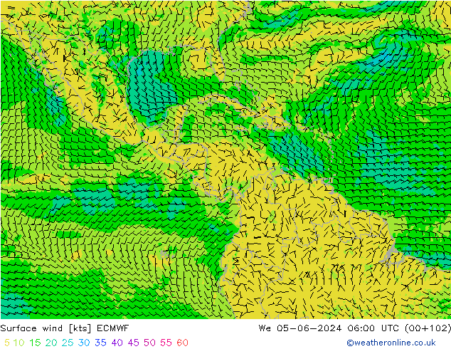 Wind 10 m ECMWF wo 05.06.2024 06 UTC