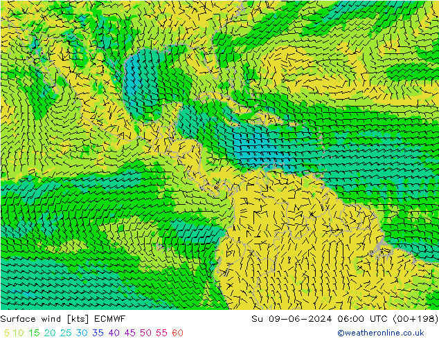 Surface wind ECMWF Su 09.06.2024 06 UTC