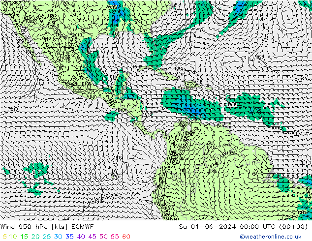  950 hPa ECMWF  01.06.2024 00 UTC