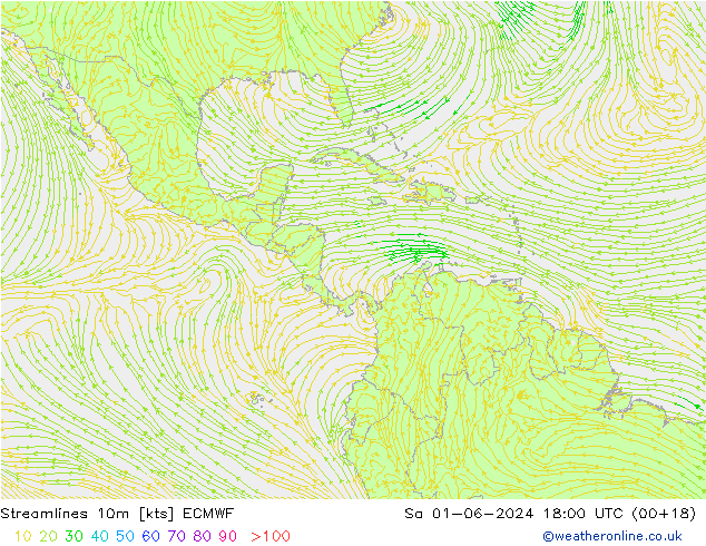 Streamlines 10m ECMWF So 01.06.2024 18 UTC