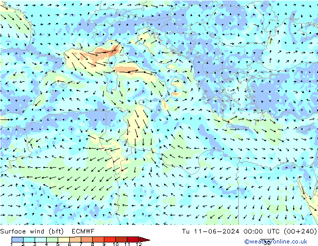 Surface wind (bft) ECMWF Tu 11.06.2024 00 UTC