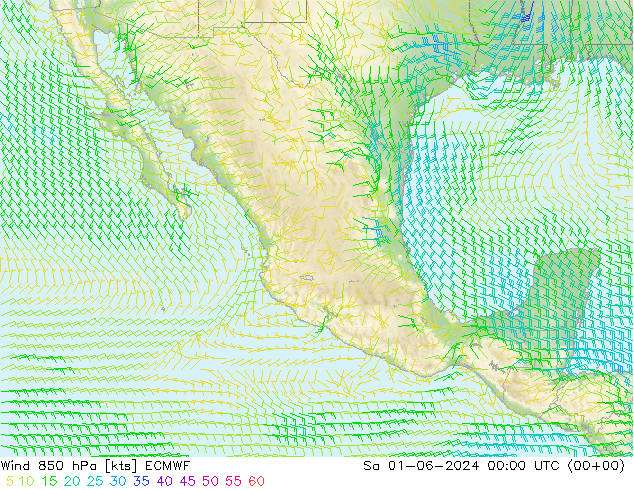 Wind 850 hPa ECMWF So 01.06.2024 00 UTC