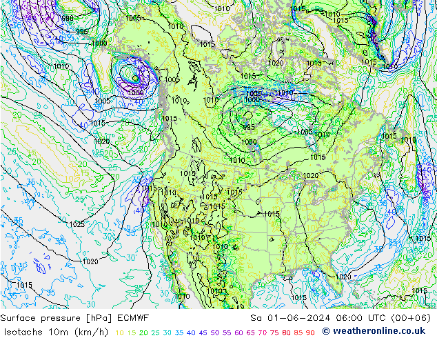 Izotacha (km/godz) ECMWF so. 01.06.2024 06 UTC