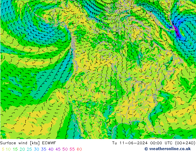 Bodenwind ECMWF Di 11.06.2024 00 UTC