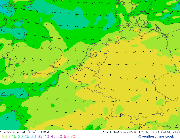 Vent 10 m ECMWF sam 08.06.2024 12 UTC