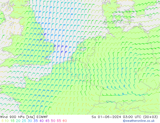 Wind 900 hPa ECMWF Sa 01.06.2024 03 UTC