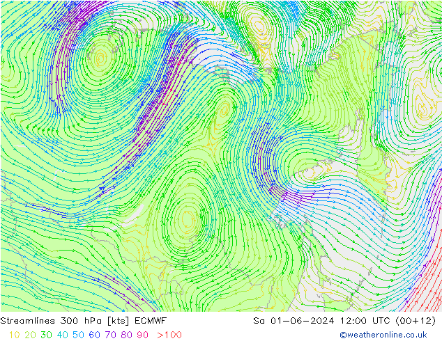 ветер 300 гПа ECMWF сб 01.06.2024 12 UTC