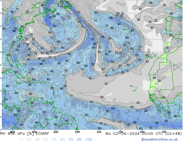 RH 850 гПа ECMWF пн 03.06.2024 00 UTC