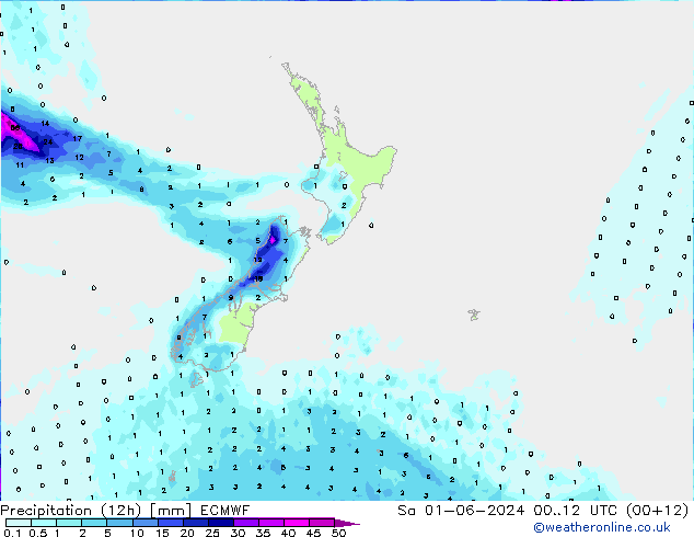 Precipitazione (12h) ECMWF sab 01.06.2024 12 UTC