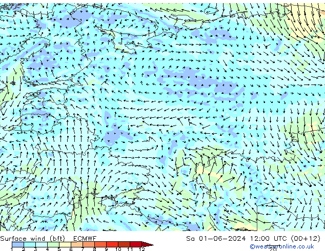 Vent 10 m (bft) ECMWF sam 01.06.2024 12 UTC