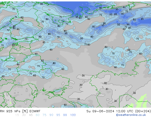 RH 925 hPa ECMWF Ne 09.06.2024 12 UTC