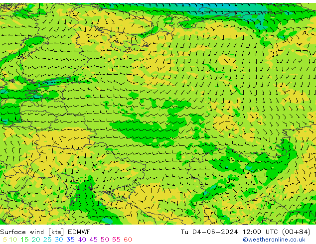Surface wind ECMWF Tu 04.06.2024 12 UTC