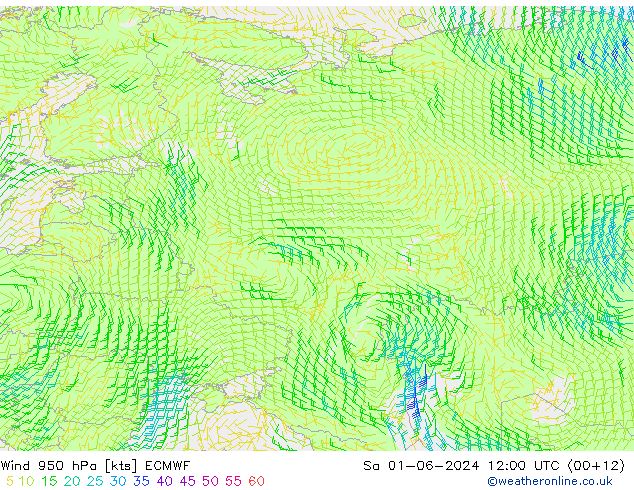 Wind 950 hPa ECMWF So 01.06.2024 12 UTC