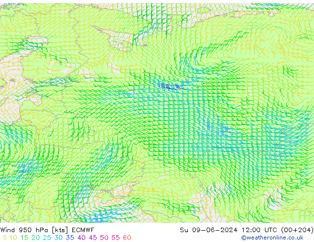 ветер 950 гПа ECMWF Вс 09.06.2024 12 UTC