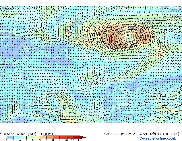 Vent 10 m (bft) ECMWF sam 01.06.2024 06 UTC