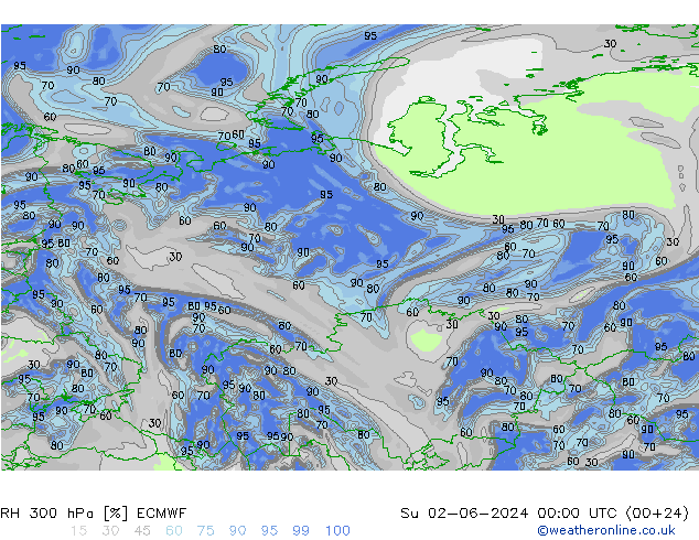 RH 300 гПа ECMWF Вс 02.06.2024 00 UTC