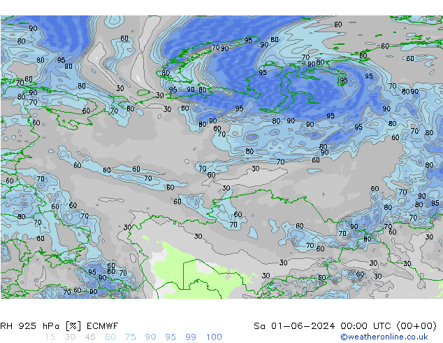 Humidité rel. 925 hPa ECMWF sam 01.06.2024 00 UTC