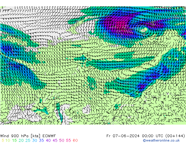 Wind 900 hPa ECMWF Fr 07.06.2024 00 UTC