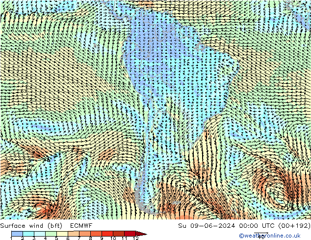 Surface wind (bft) ECMWF Su 09.06.2024 00 UTC