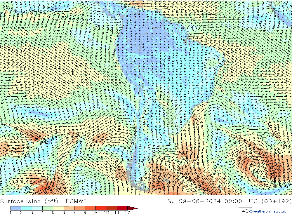 Bodenwind (bft) ECMWF So 09.06.2024 00 UTC