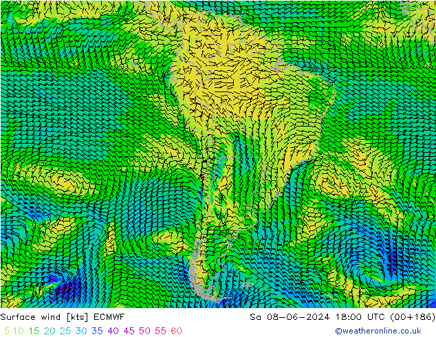 ветер 10 m ECMWF сб 08.06.2024 18 UTC