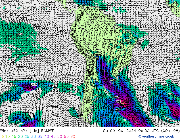  950 hPa ECMWF  09.06.2024 06 UTC