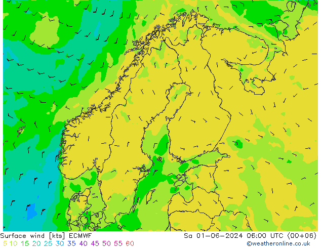 Prec 6h/Wind 10m/950 ECMWF Sa 01.06.2024 06 UTC