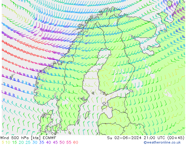 Wind 500 hPa ECMWF So 02.06.2024 21 UTC