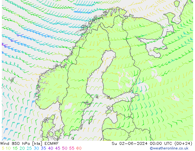 风 850 hPa ECMWF 星期日 02.06.2024 00 UTC