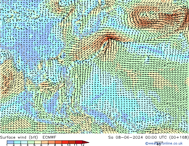 Surface wind (bft) ECMWF Sa 08.06.2024 00 UTC