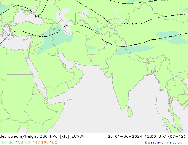 Straalstroom ECMWF za 01.06.2024 12 UTC
