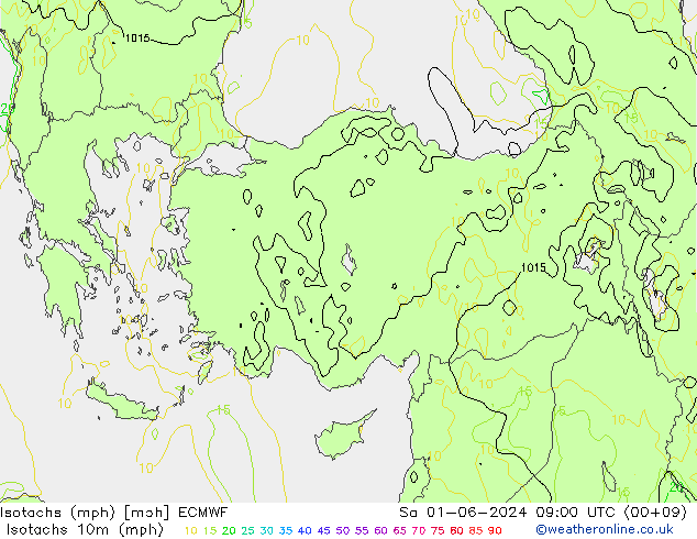 Isotachs (mph) ECMWF Sa 01.06.2024 09 UTC