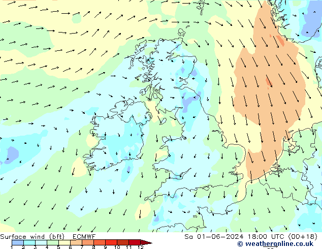 Surface wind (bft) ECMWF Sa 01.06.2024 18 UTC