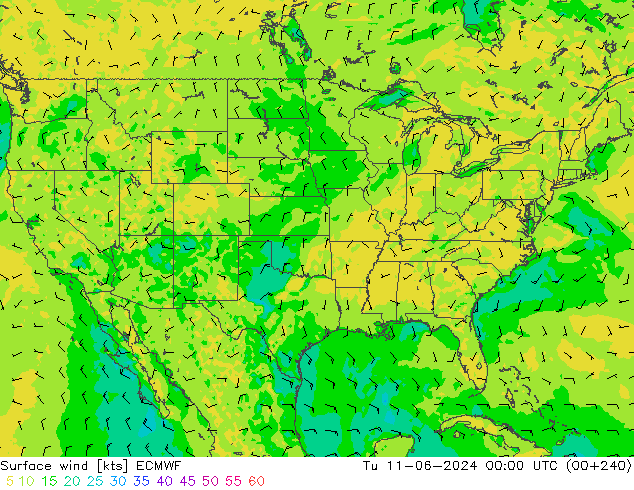 Surface wind ECMWF Tu 11.06.2024 00 UTC