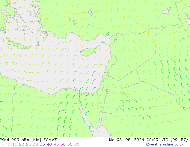 ветер 900 гПа ECMWF пн 03.06.2024 09 UTC