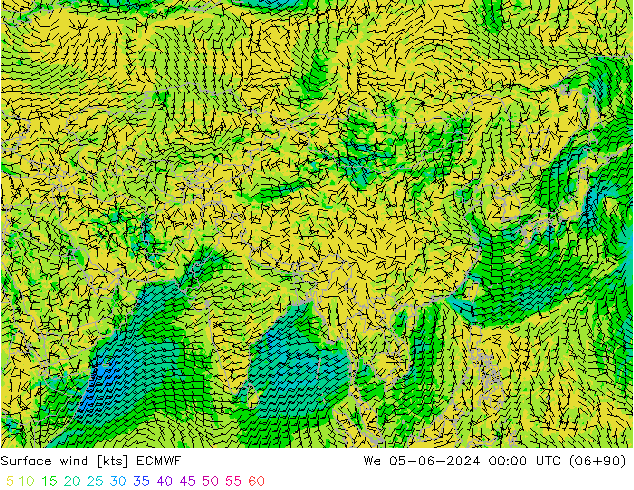 Wind 10 m ECMWF wo 05.06.2024 00 UTC