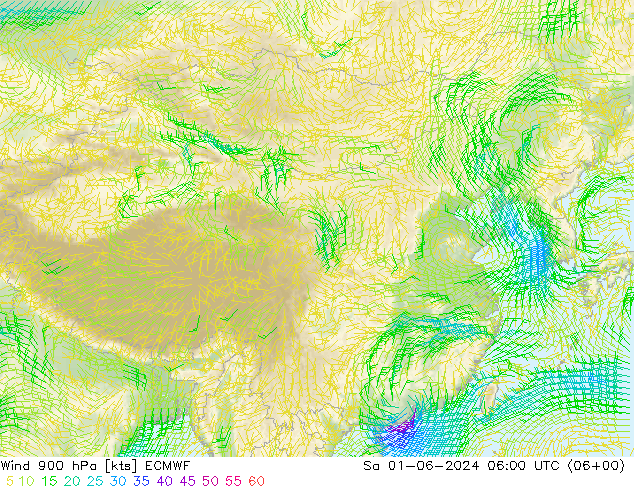 Vento 900 hPa ECMWF Sáb 01.06.2024 06 UTC