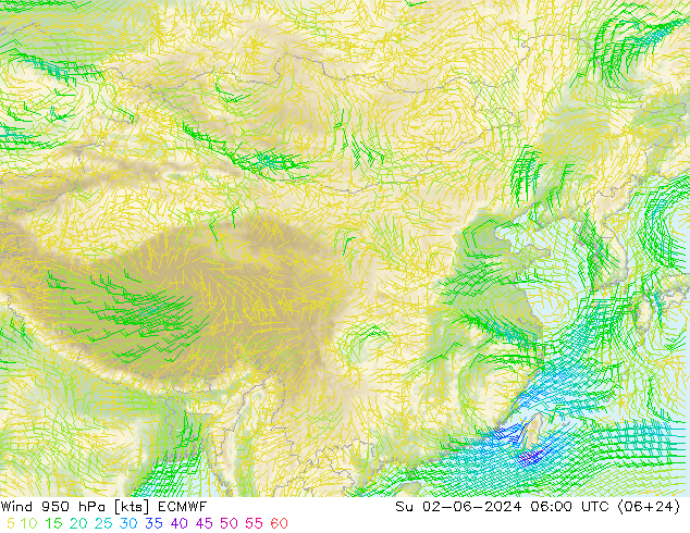 Wind 950 hPa ECMWF Su 02.06.2024 06 UTC