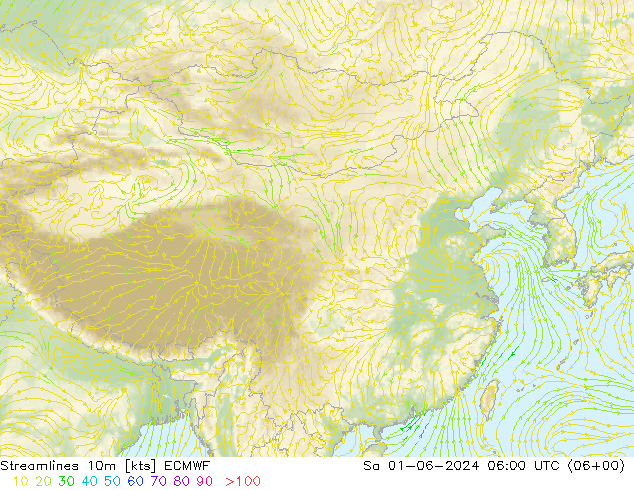 风 10m ECMWF 星期六 01.06.2024 06 UTC