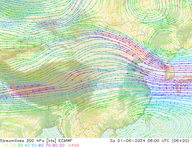 Linia prądu 300 hPa ECMWF so. 01.06.2024 06 UTC