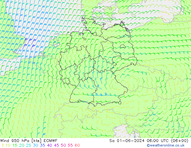 风 950 hPa ECMWF 星期六 01.06.2024 06 UTC