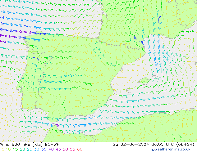 ветер 900 гПа ECMWF Вс 02.06.2024 06 UTC