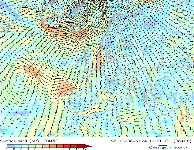 Surface wind (bft) ECMWF So 01.06.2024 12 UTC