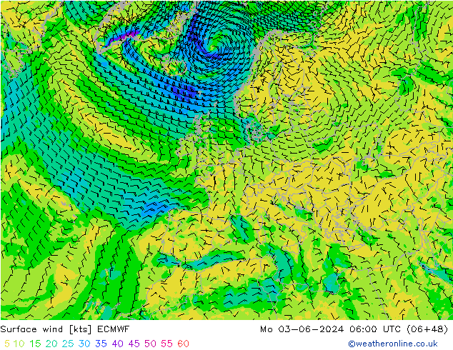 ветер 10 m ECMWF пн 03.06.2024 06 UTC