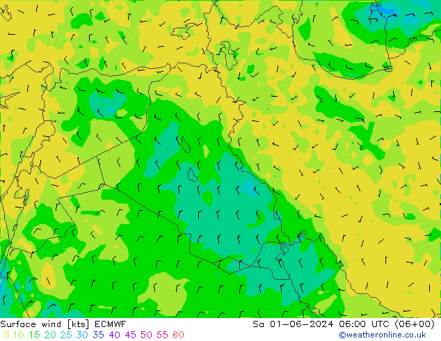  Sáb 01.06.2024 06 UTC