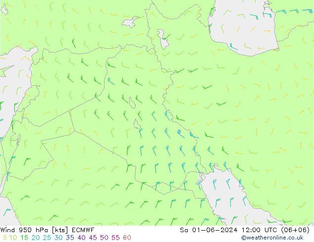  950 hPa ECMWF  01.06.2024 12 UTC