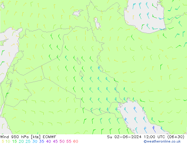 Vent 950 hPa ECMWF dim 02.06.2024 12 UTC