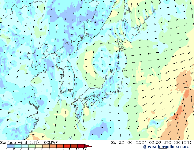 Viento 10 m (bft) ECMWF dom 02.06.2024 03 UTC