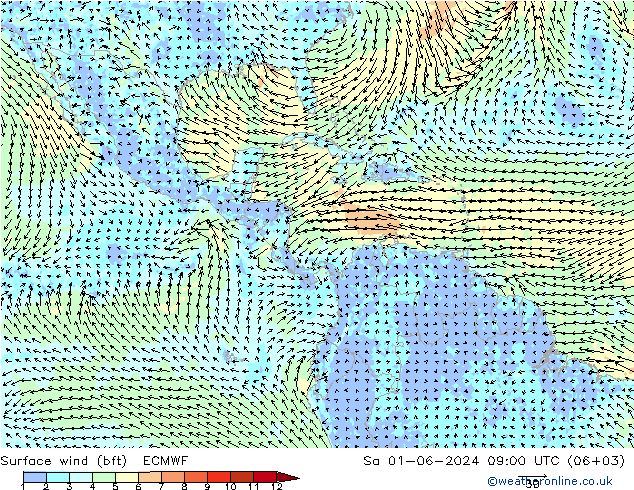 Surface wind (bft) ECMWF Sa 01.06.2024 09 UTC